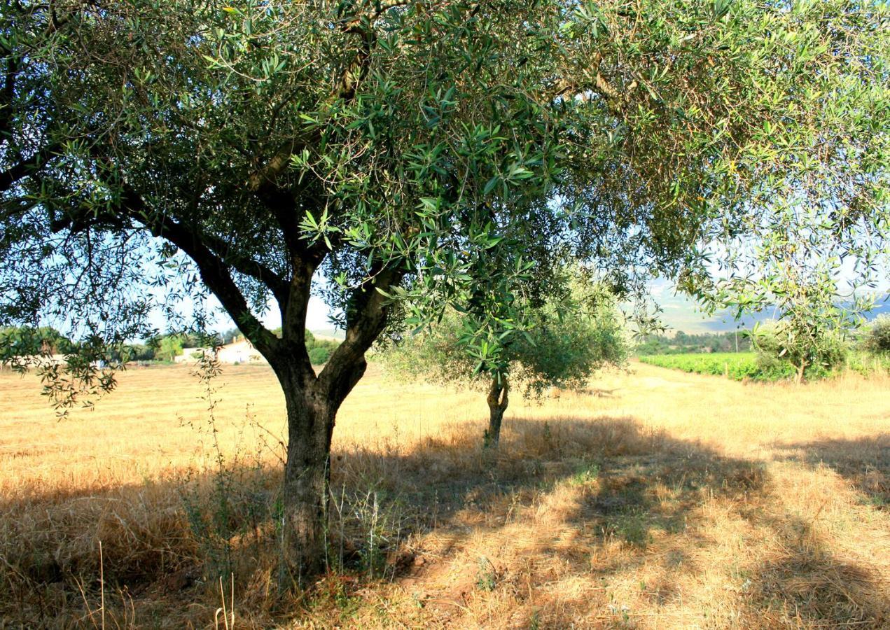 Agriturismo Da Pina Villa Porto Conte Exterior photo